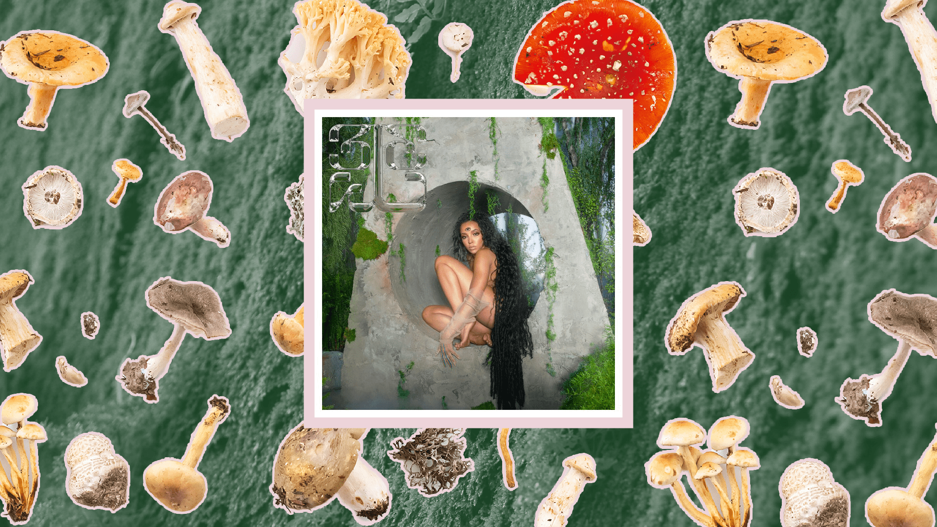 Tinashe's '333' Album cover is situated on a bed of moss surrounded by mushrooms.